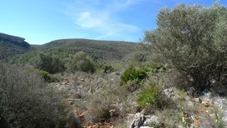 Terreny residencial a Juan XXIII. Parcela en benichembla alicante