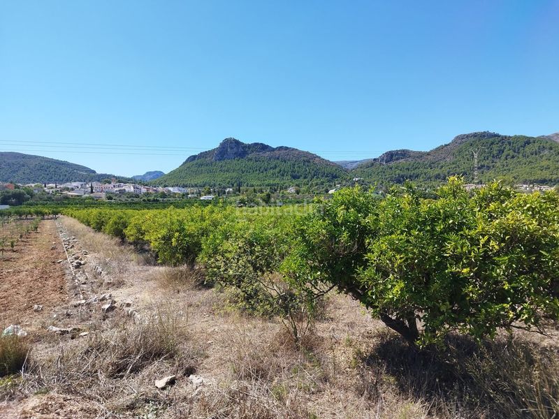 Foto 17ee72a5-d1f0-4e00-b9b1-2ffefb9ecc04. Terreny residencial a Orba