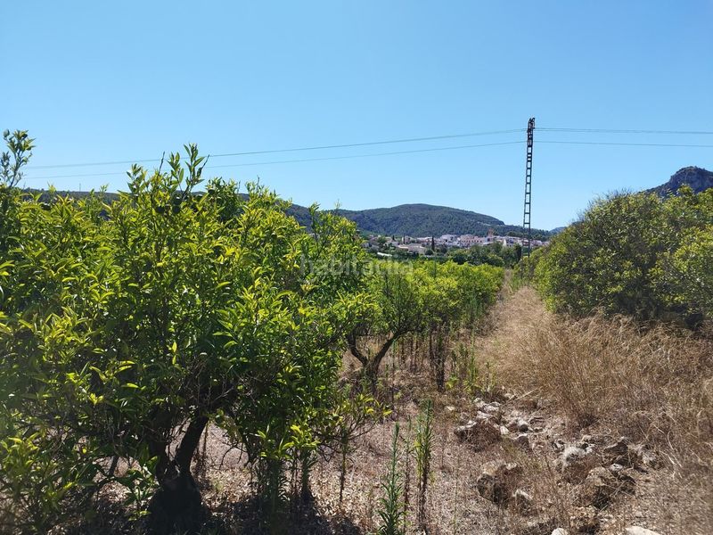 Foto e947ffbb-09ab-46b6-9b38-67db98b09ef9. Terreny residencial a Orba