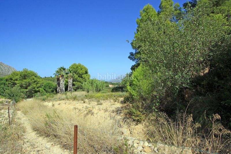 Foto 014f6846-493b-4a77-82fa-8eeb6ccc784c. Terreny residencial a Beniarbeig