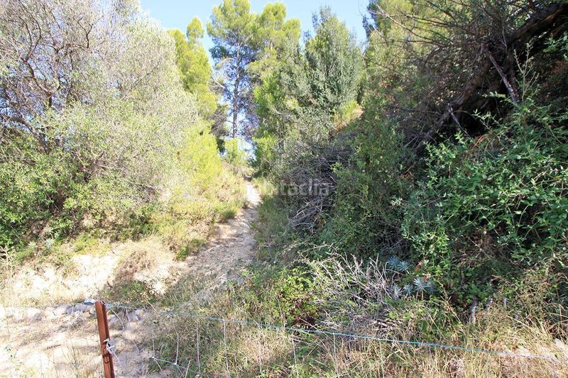 Foto 2d31ceab-95cd-4919-80a5-eecb7fb249b9. Terreny residencial a Beniarbeig