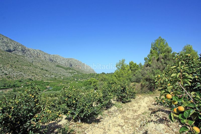 Foto 53dff586-18ea-4ca7-a91b-31d814dbd623. Terreny residencial a Beniarbeig