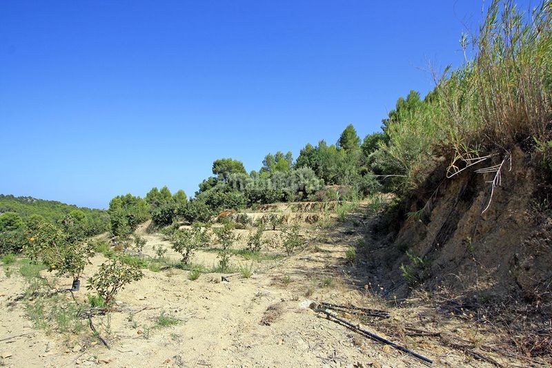 Foto ab91c46f-6676-469f-8c8f-04e617bbe7b0. Terreny residencial a Beniarbeig