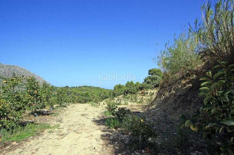 Foto ba8d8808-75d9-4cc0-89d7-f353ea735e5d. Terreny residencial a Beniarbeig