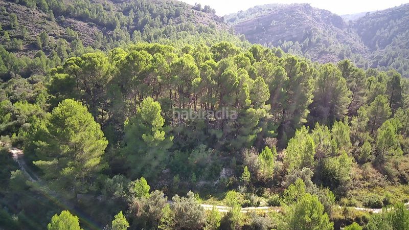 Foto 11b8629b-50b7-4ca6-8321-bad680d7f065. Terreny residencial a Orba