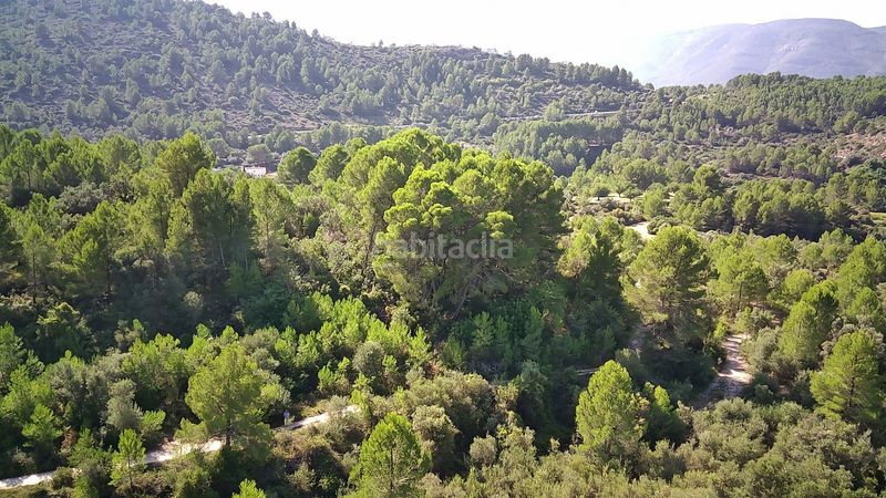 Foto 2ba2bcbd-ea80-478a-8f0e-8c6599c10eb3. Terreny residencial a Orba