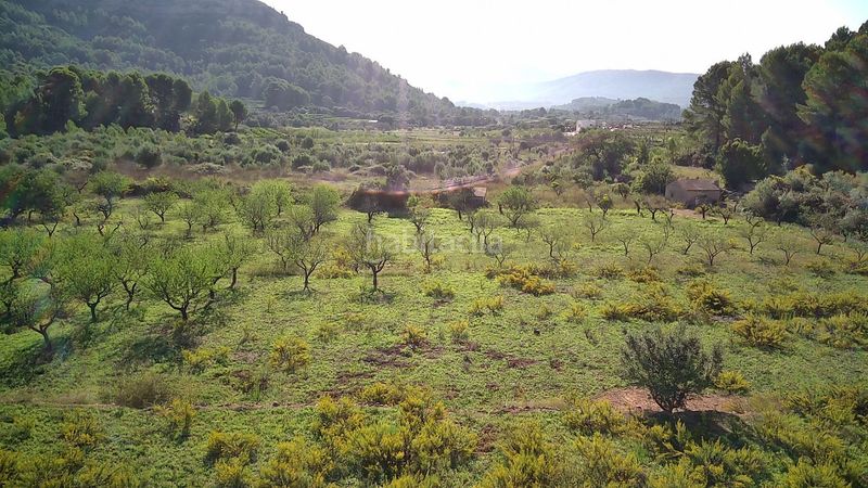 Foto 438e5018-e231-4e03-afa4-7e3583d29c8b. Terreny residencial a Murla