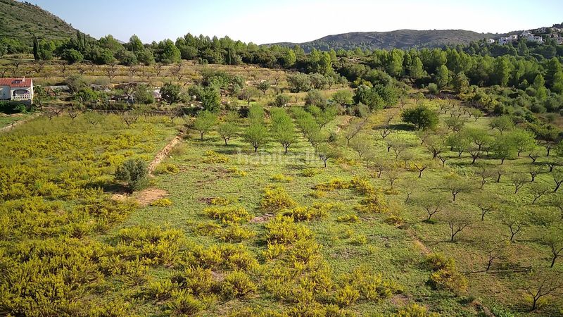 Foto 4c96d8e2-baaa-4b65-9e97-06ca82930c1a. Terreny residencial a Murla
