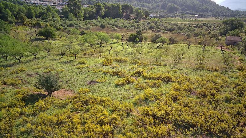 Foto bebb0bb3-13fe-4719-8e13-2804d2efdf13. Terreny residencial a Murla