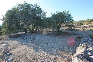 Wohngrundstück in Benimeli. Parcela constructible en benimeli alicante