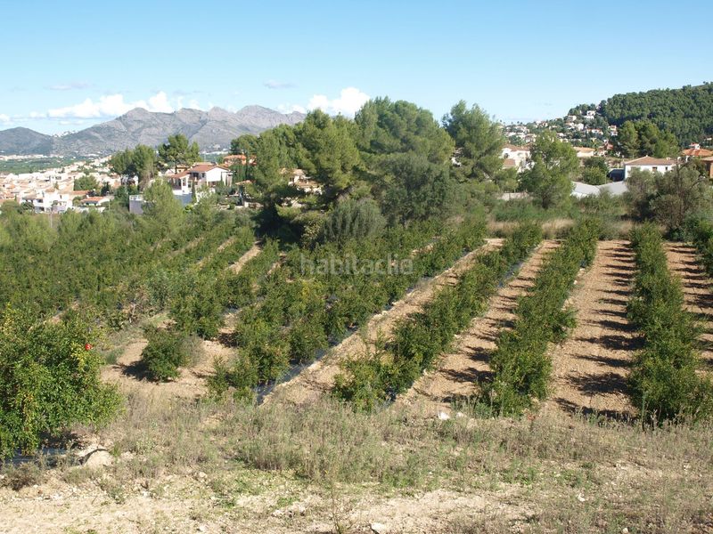 Foto 3c788f69-ada1-4832-890f-c4bc41f7002d. Terreny residencial a Tormos