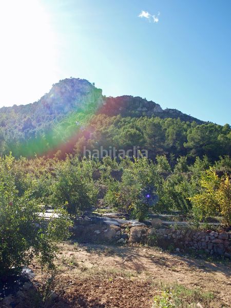 Foto 7899b2d8-bec7-458e-ae7b-cace22aebe3c. Terreny residencial a Tormos