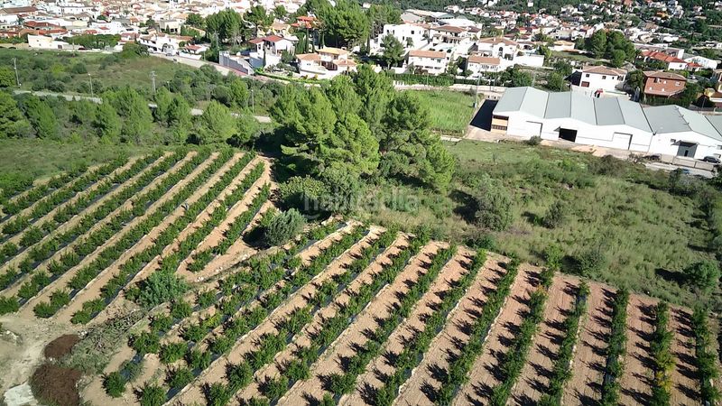 Foto abe3a11c-35ae-4b89-8083-b72931b31890. Terreny residencial a Tormos