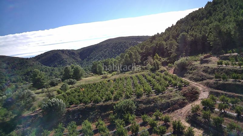 Foto dde050bd-b5ac-4b86-843e-aa917fc26640. Terreny residencial a Tormos