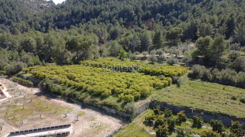 Foto d6542e45-ac42-4c3f-aab4-ff618d5f228d. Terreny residencial a Orba