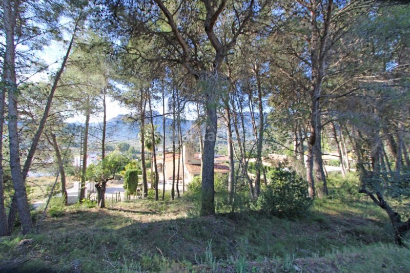 Foto 67c8a7dd-0e12-43a4-b7eb-7aab415cf50e. Terreno residencial parcela edificable bien ubicada en Alcalalí
