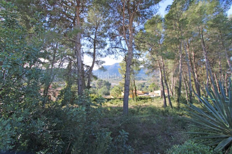 Foto c586c5a2-409b-4d7f-b4be-36cc031068cb. Terreno residencial parcela edificable bien ubicada en Alcalalí