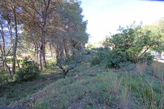 Terreno residenziale in Alcalalí. Parcela en alcalali alicante