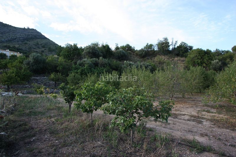 Foto f721a1f8-eb82-4802-93eb-cb2d1bb1bf20. Masia a Murla
