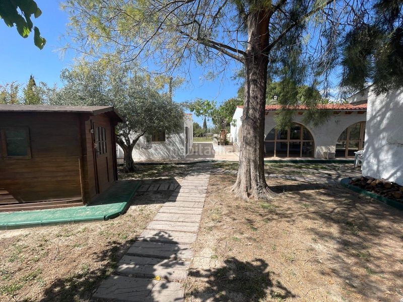 Foto c19b7802-d9e1-4fa7-8603-acd1a6ce86c7. Finca rústica a Centro Elda