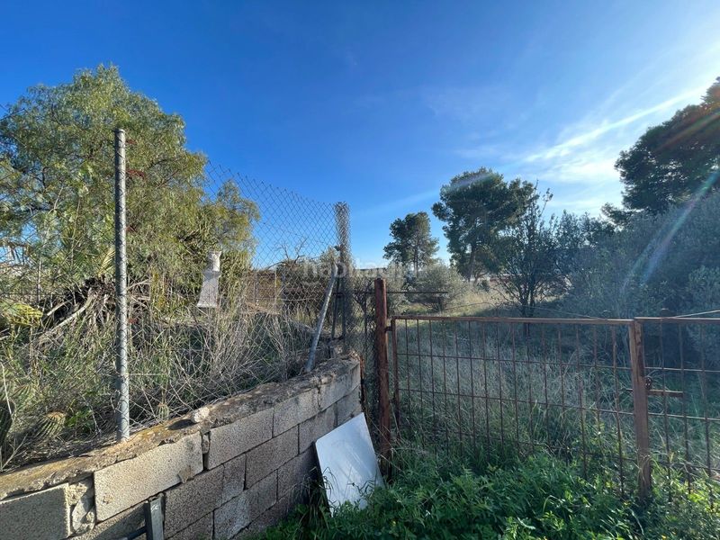 Foto 79ae4d9f-16cc-4459-9d00-d783066487c6. Finca rústica a San Juan Aspe
