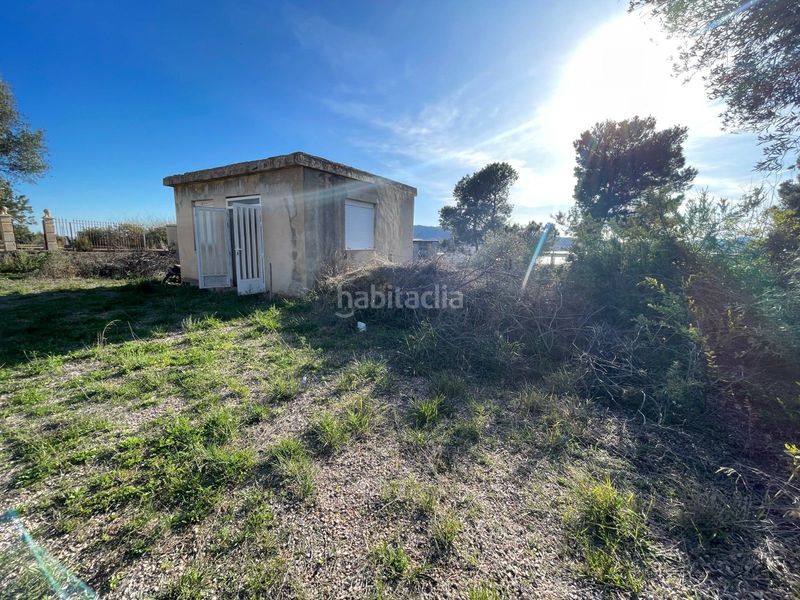 Foto d90d4b8b-2be8-41de-b8dc-a0089d66af03. Finca rústica a San Juan Aspe