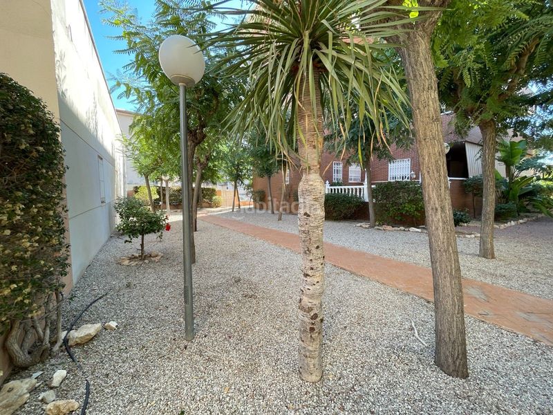 Foto e83b08e4-30d2-455c-ba0a-b2250f2ca023. Casa adossada a Centro Elche / Elx