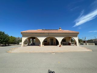 Casa en Crevillente. Grandioso chalet con parcela doble y olivos en crevillente alica