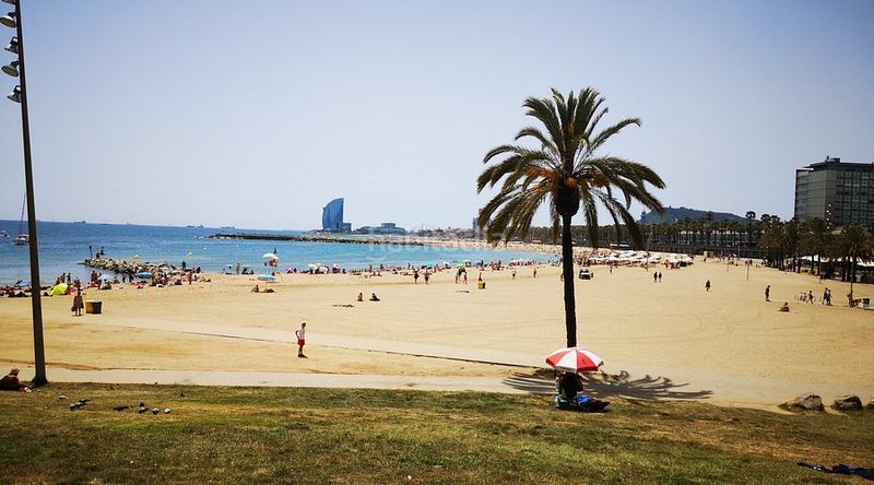 Foto ff1f2553-2757-4480-9ed5-9236140f1d89. Apartament amb xemeneia calefacció piscina a Diagonal Mar i el Front Marítim del Poblenou Barcelona