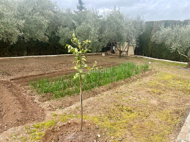 Foto c2aab9e9-b48c-429d-ba63-3087c38e2141. Chalet en Área Rual - Valverde - Las Casas Ciudad Real