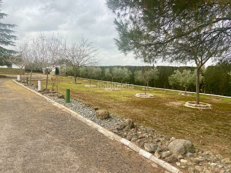 Foto d2b413a1-193f-4787-87ab-ad55a7bd70e1. Chalet en Área Rual - Valverde - Las Casas Ciudad Real