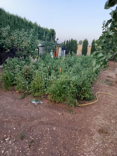 Foto dabba50e-6bd7-4c1c-95ff-a1755444ee3a. Chalet en Área Rual - Valverde - Las Casas Ciudad Real