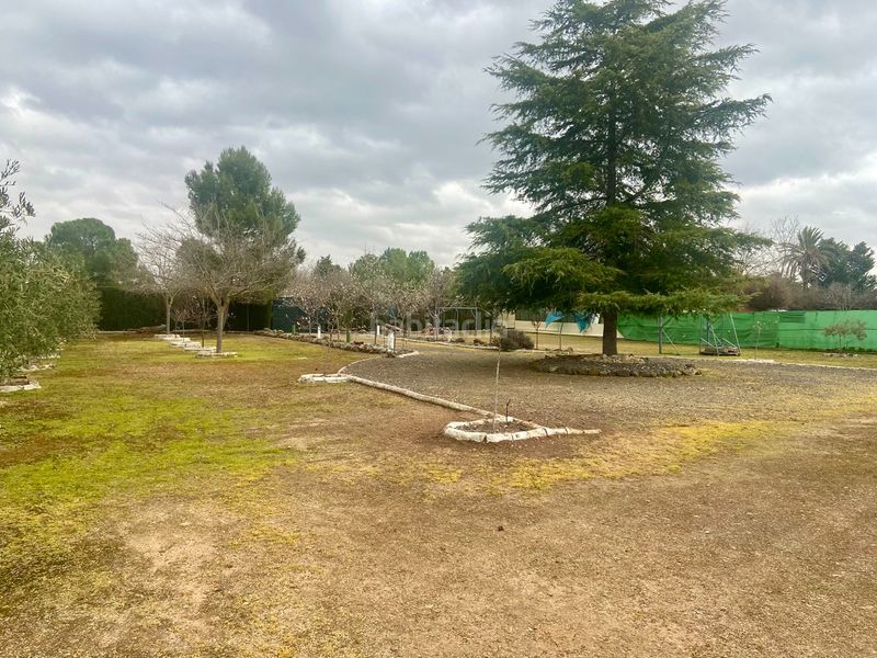 Foto dea98be5-6ebc-4b39-a966-e183a0f61ed9. Chalet en Área Rual - Valverde - Las Casas Ciudad Real
