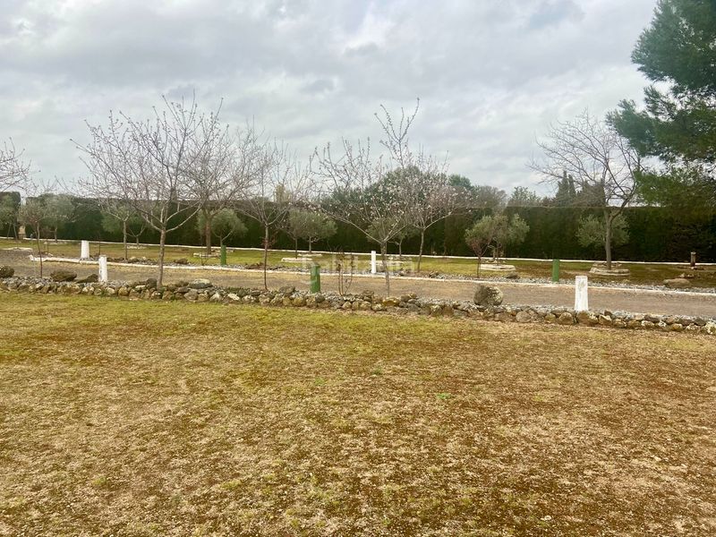 Foto fc1153fb-6906-4629-847b-97b6518a4994. Chalet en Área Rual - Valverde - Las Casas Ciudad Real