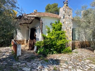 Xalet  Avenida yedra