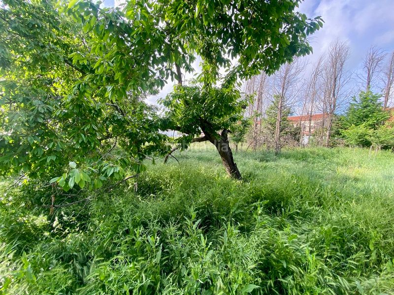 Foto 7e7b17fd-310b-4a78-ac23-889715a229bb. Chalet en Corral de Calatrava
