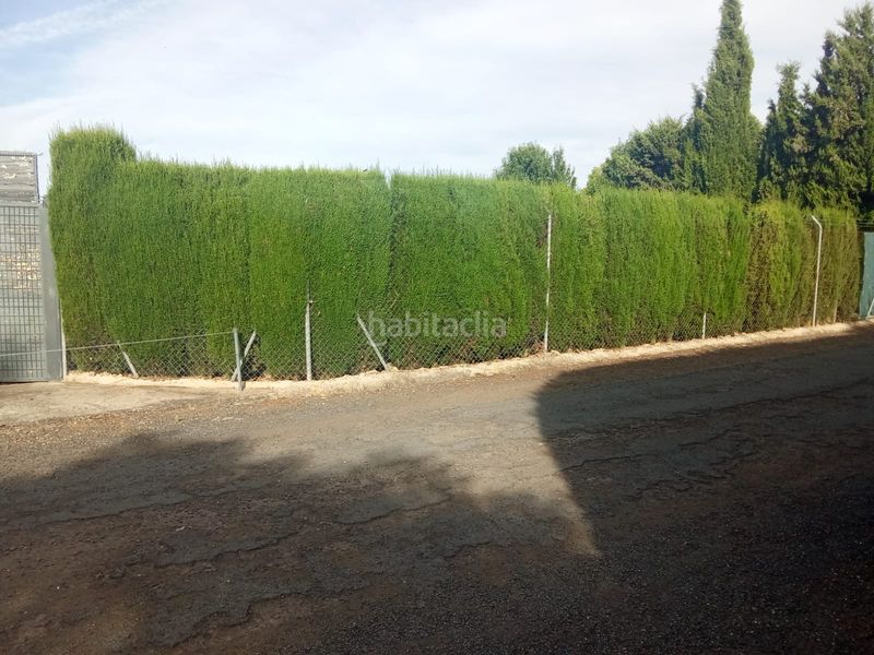 Foto 64ea97f5-1820-4138-a28f-003c6e7f2f32. Finca rústica a Área Rual - Valverde - Las Casas Ciudad Real