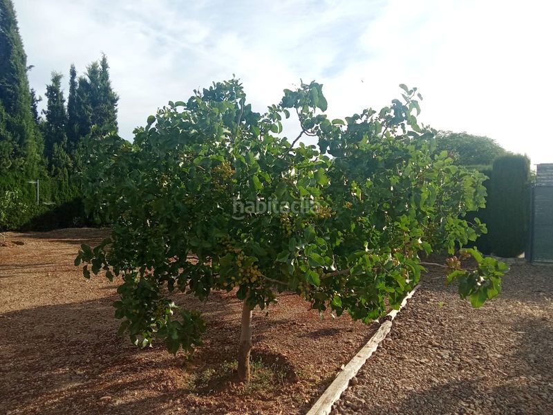 Foto c098df0b-b85a-4cf8-9d0e-89a675bfd1ff. Finca rústica a Área Rual - Valverde - Las Casas Ciudad Real