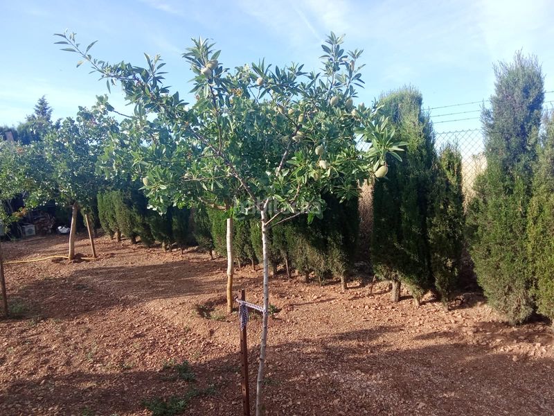 Foto cb978d10-7d12-45ee-afbe-b24afd7ba9da. Finca rústica a Área Rual - Valverde - Las Casas Ciudad Real