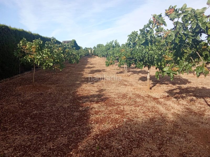 Foto ed45abb3-d809-4d16-9494-83b978b0e3ea. Finca rústica a Área Rual - Valverde - Las Casas Ciudad Real