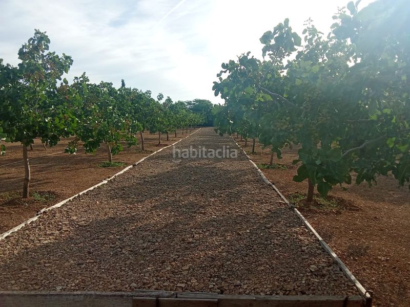 Foto fa65c7f2-3bd4-4167-9969-13e8d3cf876e. Finca rústica a Área Rual - Valverde - Las Casas Ciudad Real