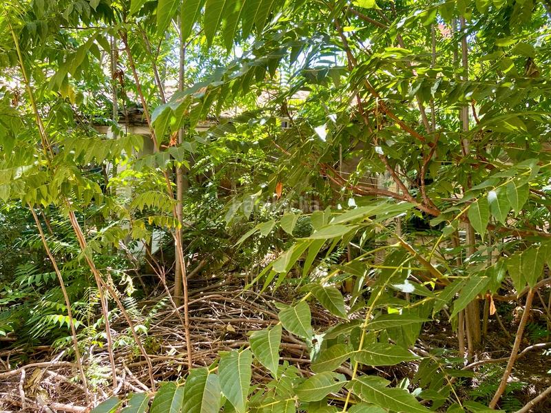 Foto eb6658d3-1ecf-4b54-a4fb-bbe2fb19f1f1. Edificio en calle trinidad 8 en Daimiel