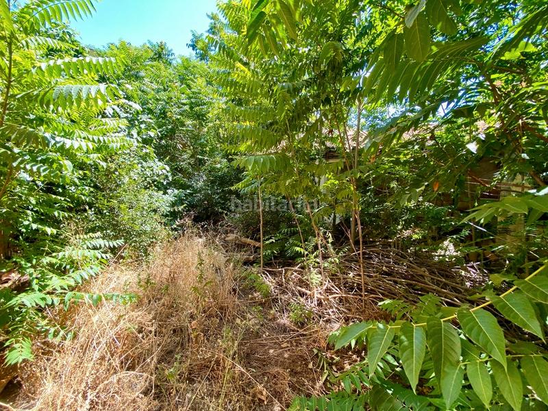 Foto 3eedca08-b4ab-4de4-add0-609521f33e8c. Gebäude in calle trinidad 8 in Daimiel