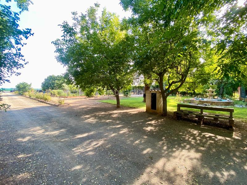 Foto a65e08ed-dd89-4eb9-9559-8a674d5614a1. Chalet en Ciudad Jardín Ciudad Real