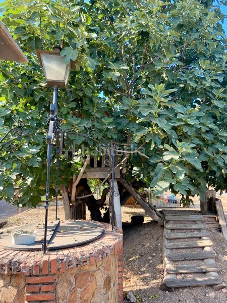 Foto e7e8f67f-47ac-48a6-ab3d-bc0cd6a9e8fb. Chalet mit kamin heizung parking pool in Ciudad Jardín Ciudad Real