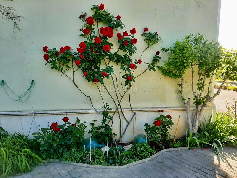 Foto ea0bf921-2f12-449e-ab5f-474ea336ab01. Xalet a carretera la atalaya 4 a Puerta de Toledo - Atalaya Ciudad Real