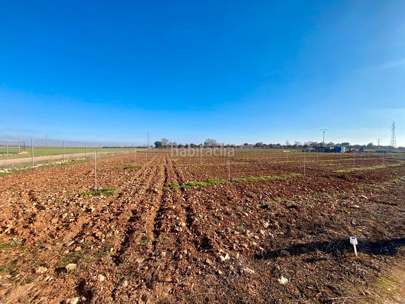 Foto 979c3bd7-9443-4618-8a6b-5dbf612723d9. Chalet in n/a in Miguelturra