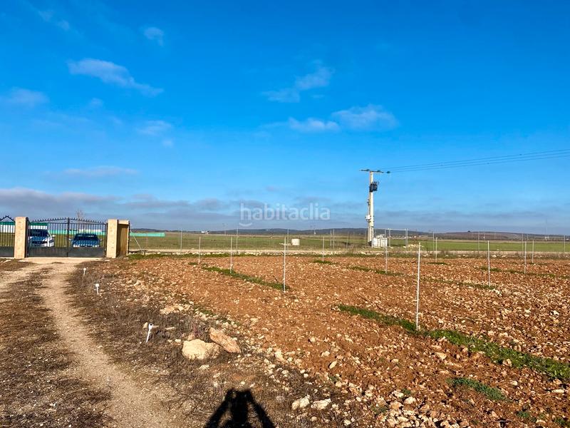 Foto f6ae6e84-8338-457b-921a-97d1d0d9fbec. Chalet in n/a in Miguelturra