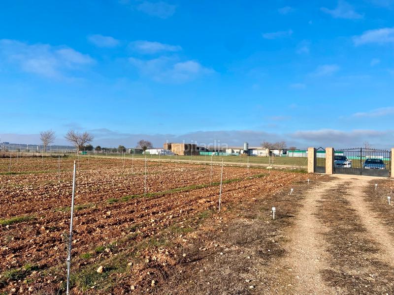 Foto a8c4a76e-3f45-4daf-8829-15774f2c59b1. Chalet in n/a in Miguelturra