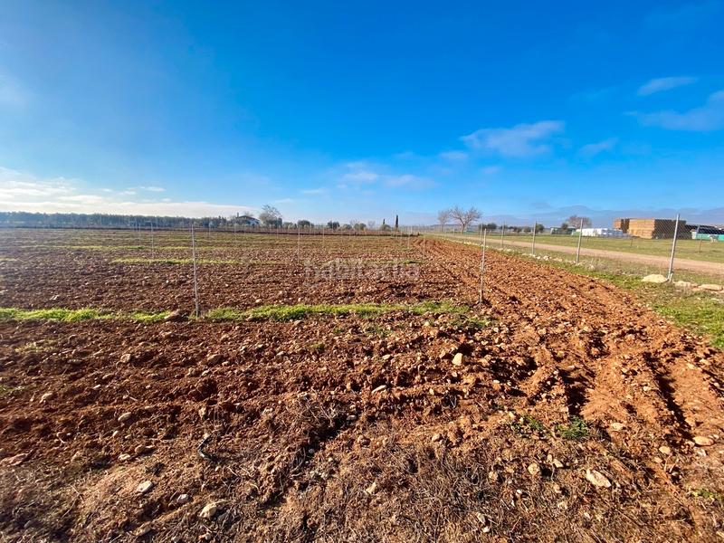 Foto 436da053-9202-4967-906a-1cc80482eb83. Xalet a n/a a Miguelturra